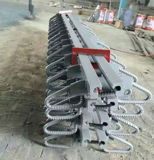 D�͘�����s�p